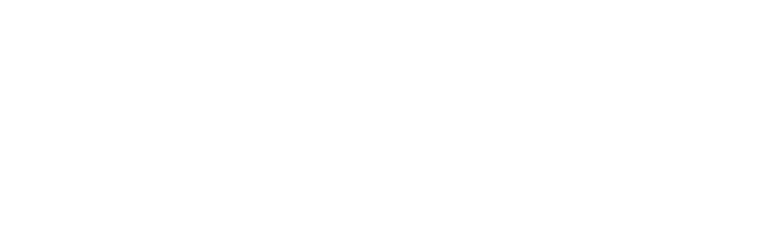 Nimesis Technology