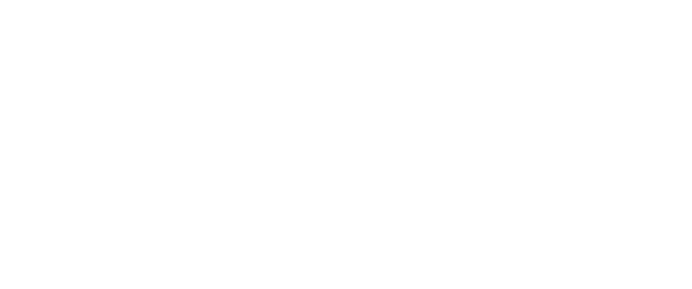 Adaptive Launch Solutions (ALS)