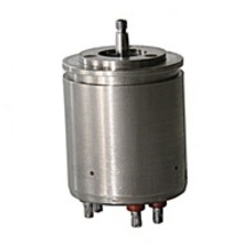 Asynchronous controlled electric motor