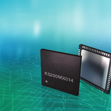 Analogue Microchip of the Receive/Transmit Tract