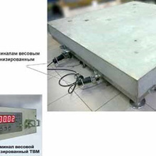 Two-channel Weight-measuring Platform Devices