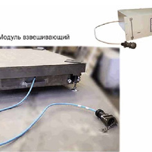 Weight-measuring Device