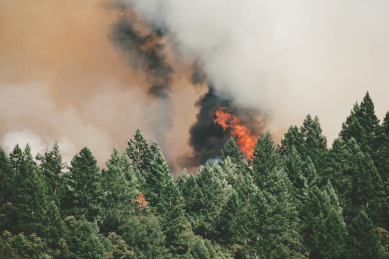 Wildfires Early Warning