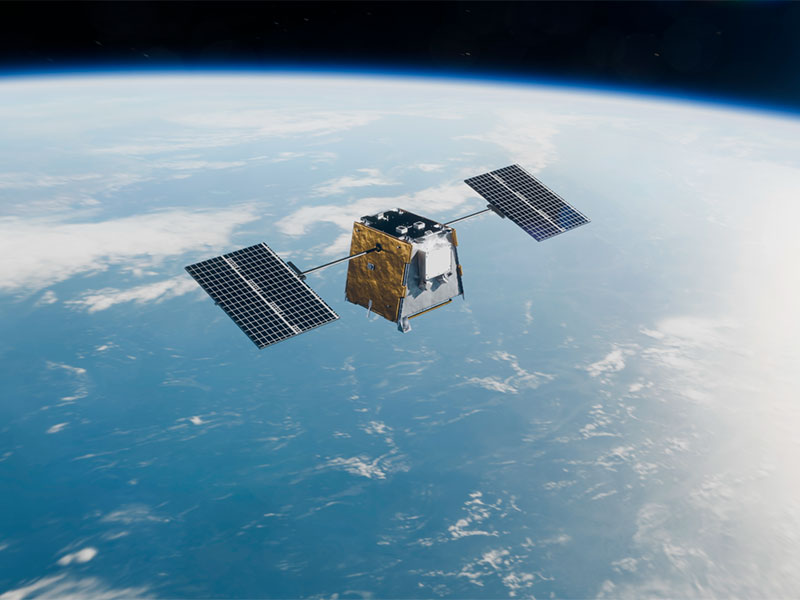 YAM Platform