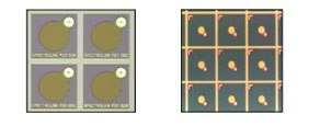 InGaAs PIN Photodetector Die
